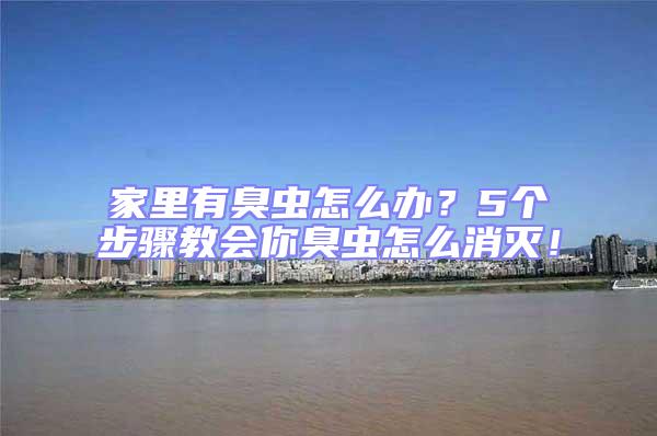 家里有臭蟲怎么辦？5個步驟教會你臭蟲怎么消滅！