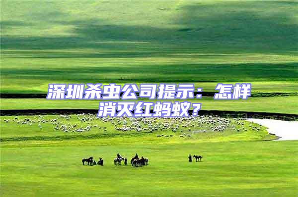 深圳殺蟲公司提示：怎樣消滅紅螞蟻？