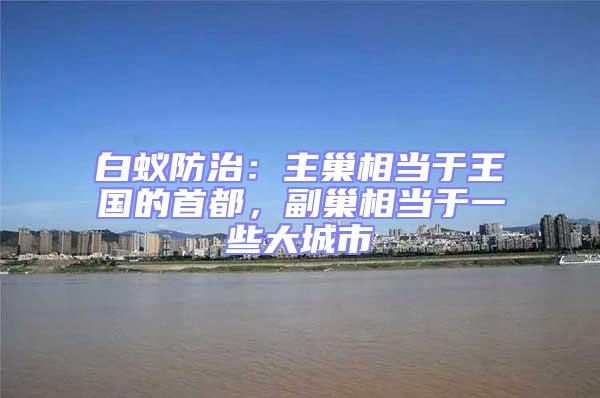 白蟻防治：主巢相當于王國的首都，副巢相當于一些大城市