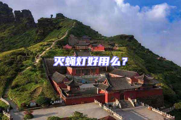 滅蠅燈好用么？