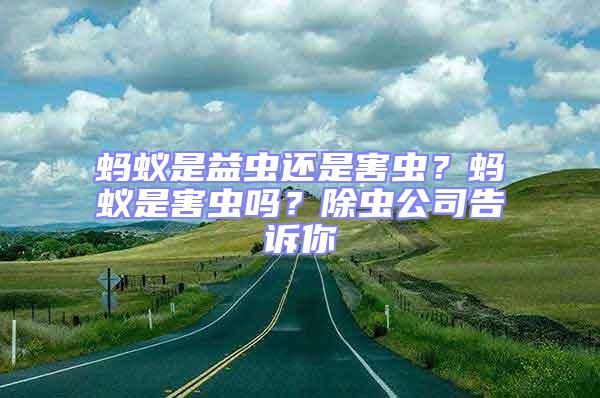 螞蟻是益蟲還是害蟲？螞蟻是害蟲嗎？除蟲公司告訴你