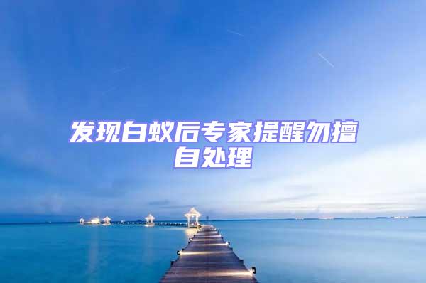 發(fā)現(xiàn)白蟻后專家提醒勿擅自處理