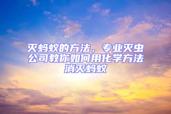 滅螞蟻的方法，專業滅蟲公司教你如何用化學方法消滅螞蟻