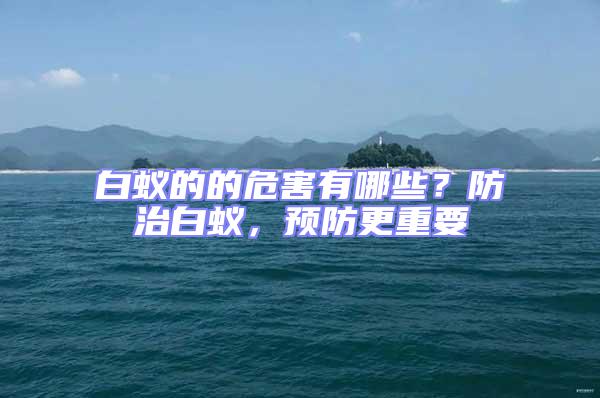 白蟻的的危害有哪些？防治白蟻，預(yù)防更重要