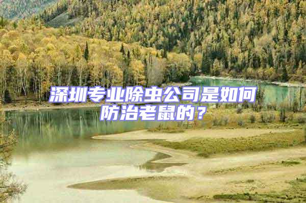 深圳專業(yè)除蟲公司是如何防治老鼠的？