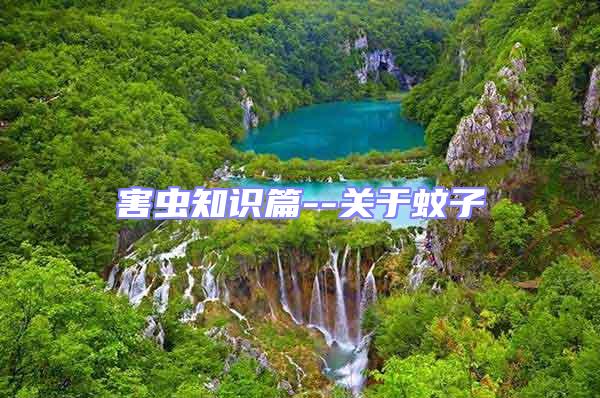 害蟲(chóng)知識(shí)篇--關(guān)于蚊子