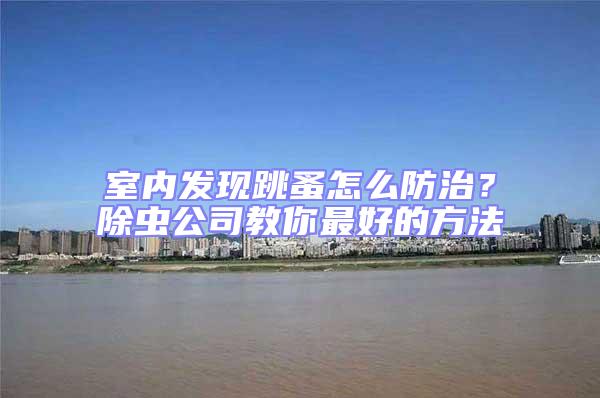 室內發現跳蚤怎么防治？除蟲公司教你最好的方法