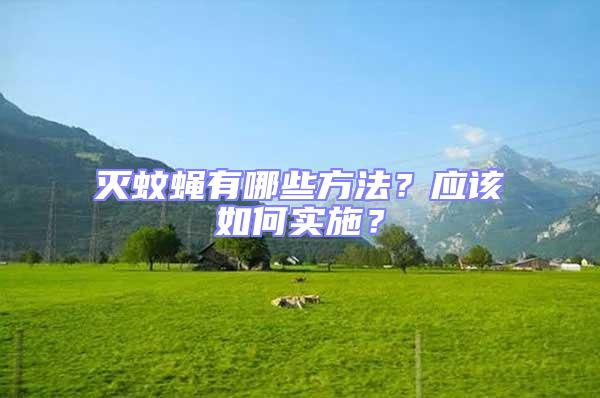 滅蚊蠅有哪些方法？應該如何實施？