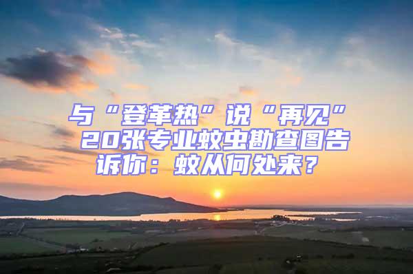 與“登革熱”說“再見” 20張專業蚊蟲勘查圖告訴你：蚊從何處來？