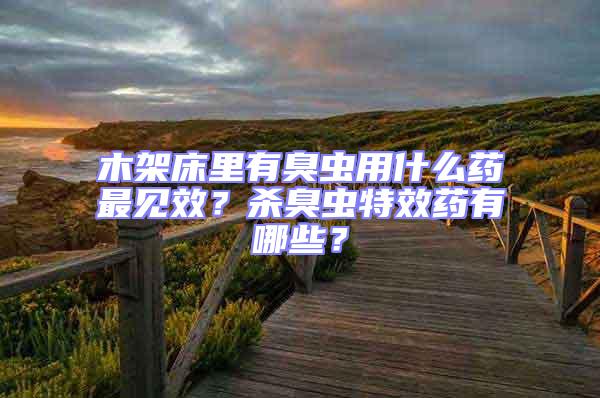 木架床里有臭蟲用什么藥最見效？殺臭蟲特效藥有哪些？