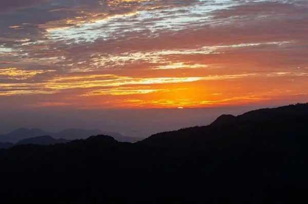 殺蟲(chóng)公司的專(zhuān)業(yè)團(tuán)隊(duì)支持