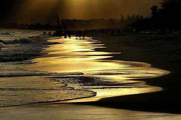 殺蟑螂公司聊聊室內發現蟑螂如何消滅？