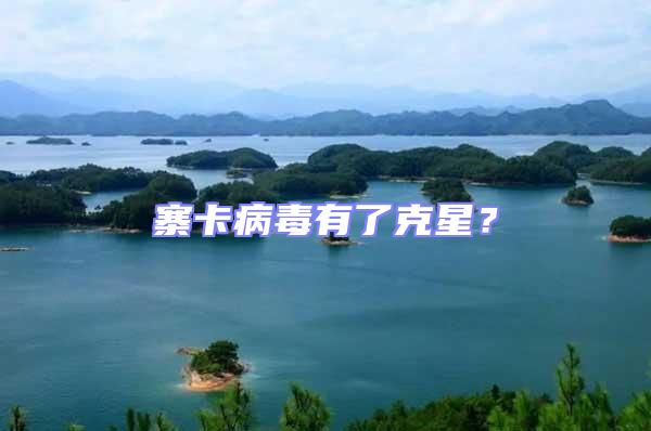 寨卡病毒有了克星？