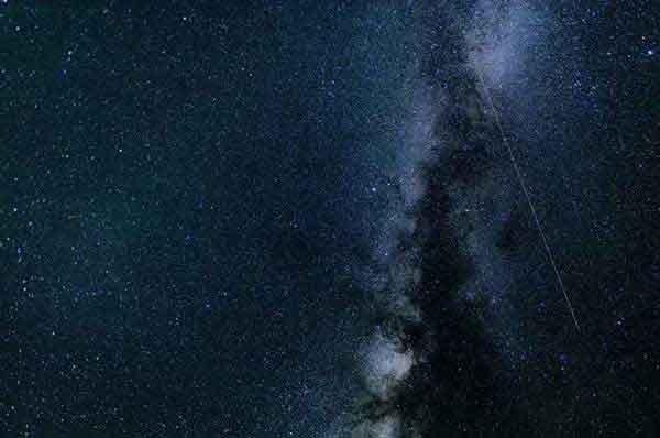 深圳滅蟑螂公司提示：喬遷新居，勿忘滅蟑