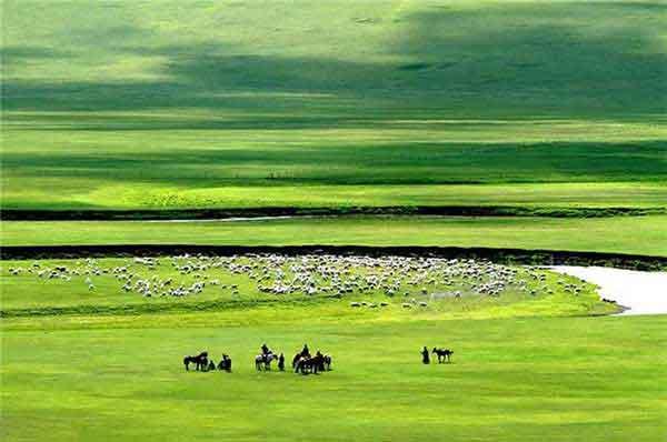 深圳市四害密度監(jiān)測(cè)方案