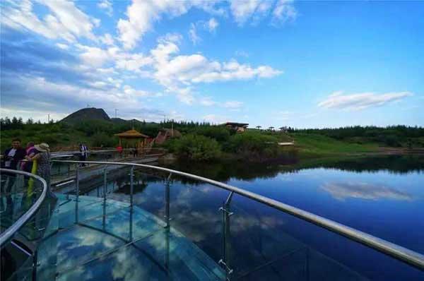 餐飲店蟑螂猖獗 不及時滅蟑飯店將受處罰