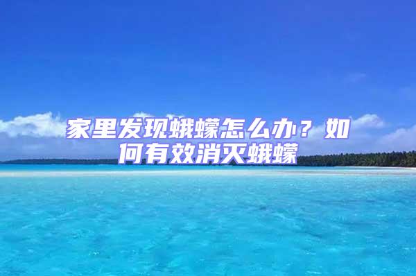 家里發現蛾蠓怎么辦？如何有效消滅蛾蠓