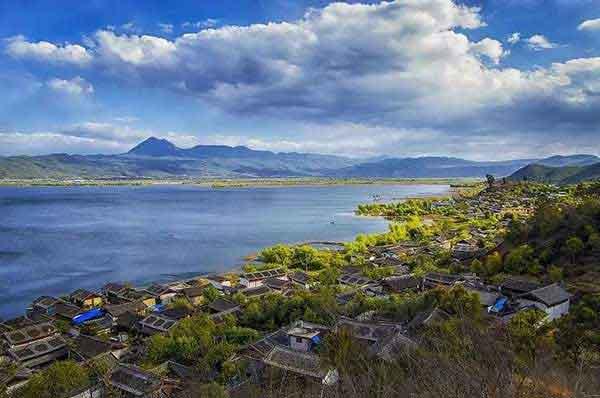 深圳滅螞蟻公司提示如何正確防治螞蟻？