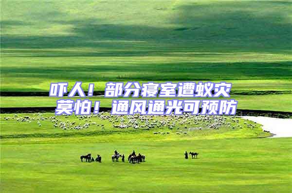 嚇人！部分寢室遭蟻災 莫怕！通風通光可預防