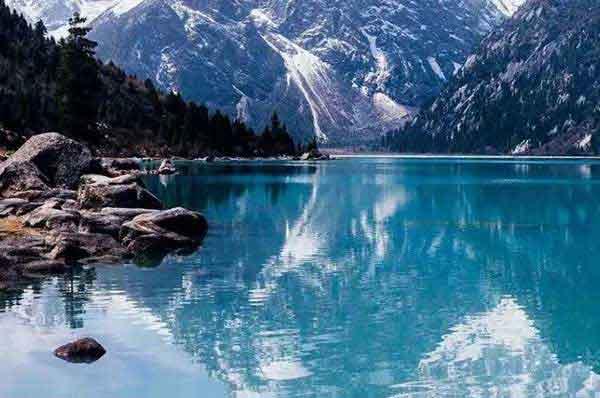 深圳病媒生物預(yù)防控制-深圳殺蟲除蟲公司的服務(wù)標(biāo)準(zhǔn)