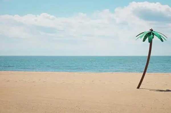 深圳白蟻防治：預(yù)防為主、防治結(jié)合、綜合治理