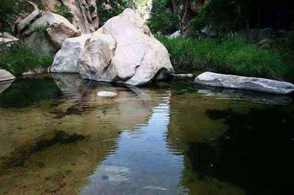 深圳消殺哪里有殺白蟻,居民如何預(yù)防白蟻