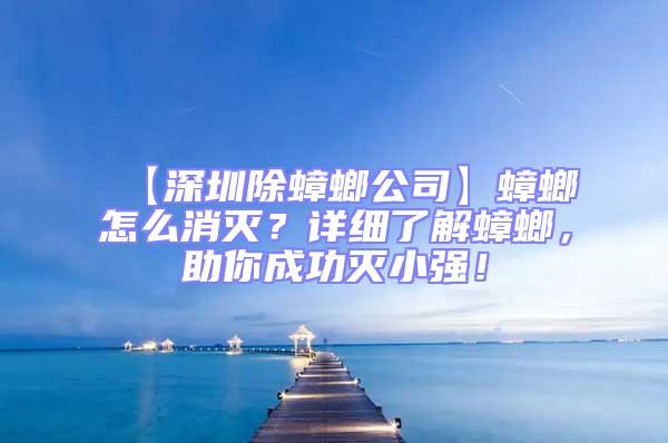 【深圳除蟑螂公司】蟑螂怎么消滅？詳細(xì)了解蟑螂，助你成功滅小強(qiáng)！