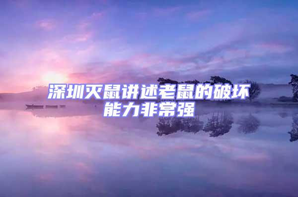 深圳滅鼠講述老鼠的破壞能力非常強(qiáng)