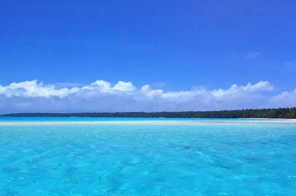 臭蟲危害多，如何消滅臭蟲？