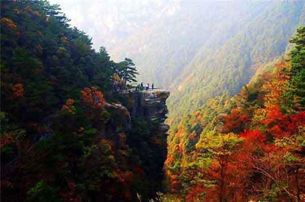 各種蚊蟲(chóng)如蜱蟲(chóng)、恙螨、跳蚤、臭蟲(chóng)等咬后的癥狀(三)