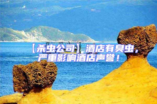 【殺蟲公司】酒店有臭蟲，嚴重影響酒店聲譽！