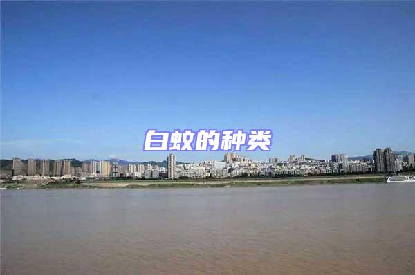 白蚊的種類(lèi)