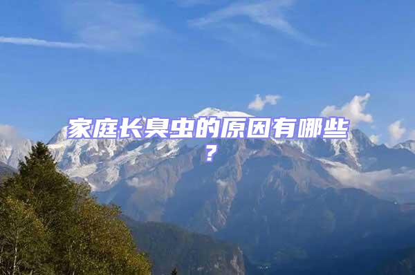 家庭長臭蟲的原因有哪些？