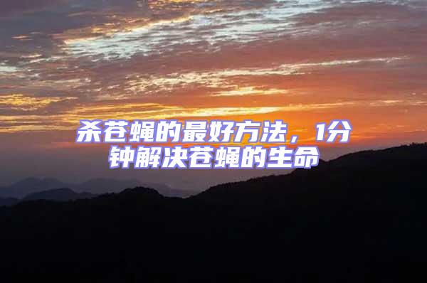 殺蒼蠅的最好方法，1分鐘解決蒼蠅的生命