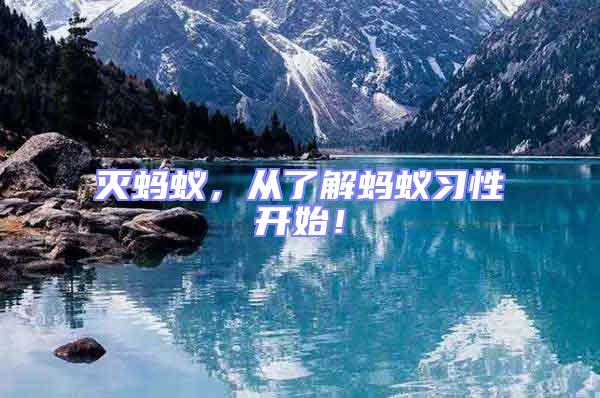 滅螞蟻，從了解螞蟻習(xí)性開始！