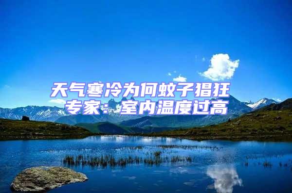 天氣寒冷為何蚊子猖狂 專家：室內(nèi)溫度過高