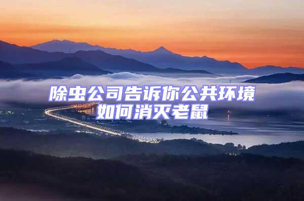 除蟲(chóng)公司告訴你公共環(huán)境如何消滅老鼠