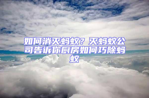 如何消滅螞蟻？滅螞蟻公司告訴你廚房如何巧除螞蟻