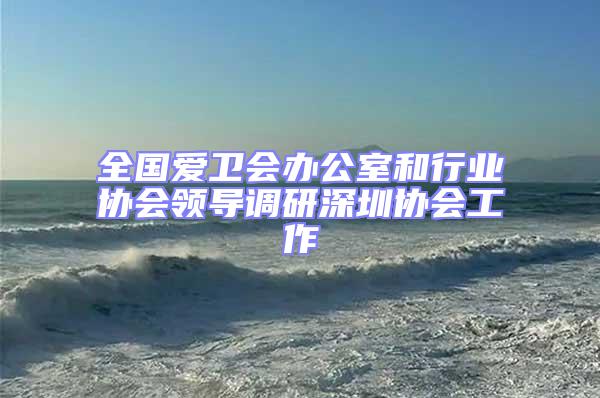 全國(guó)愛衛(wèi)會(huì)辦公室和行業(yè)協(xié)會(huì)領(lǐng)導(dǎo)調(diào)研深圳協(xié)會(huì)工作