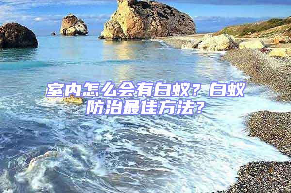 室內怎么會有白蟻？白蟻防治最佳方法？