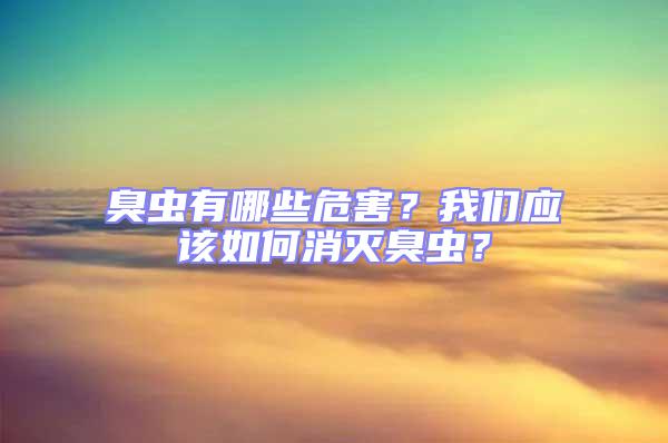 臭蟲有哪些危害？我們應該如何消滅臭蟲？