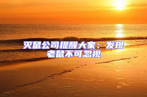 滅鼠公司提醒大家：發現老鼠不可忽視