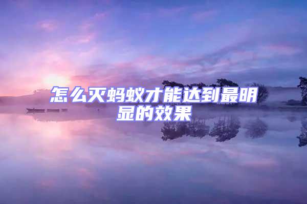 怎么滅螞蟻才能達到最明顯的效果