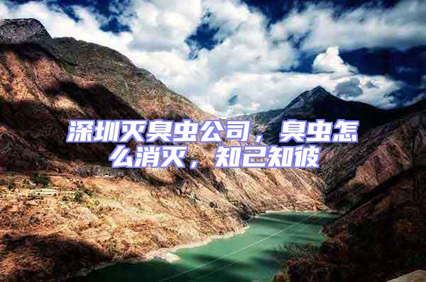 深圳滅臭蟲(chóng)公司，臭蟲(chóng)怎么消滅，知己知彼