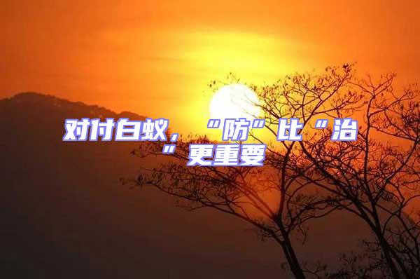 對(duì)付白蟻,“防”比“治”更重要