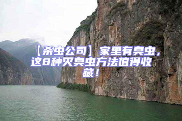 【殺蟲公司】家里有臭蟲，這8種滅臭蟲方法值得收藏！