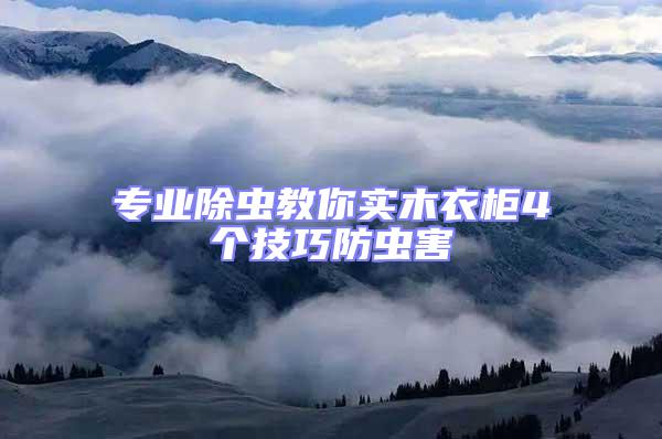專業除蟲教你實木衣柜4個技巧防蟲害
