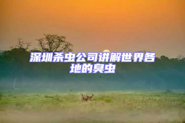 深圳殺蟲(chóng)公司講解世界各地的臭蟲(chóng)