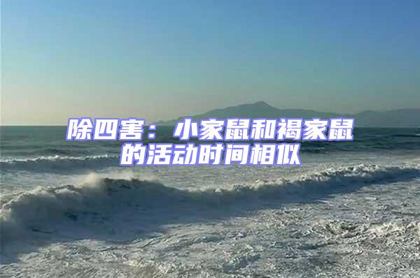 除四害：小家鼠和褐家鼠的活動(dòng)時(shí)間相似