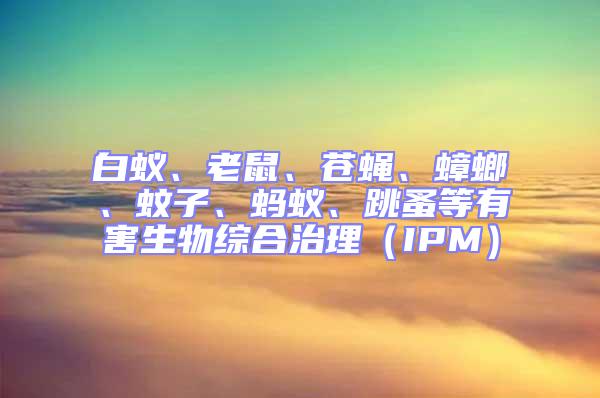 白蟻、老鼠、蒼蠅、蟑螂、蚊子、螞蟻、跳蚤等有害生物綜合治理(IPM)